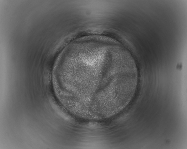 X0000113860641200910221442