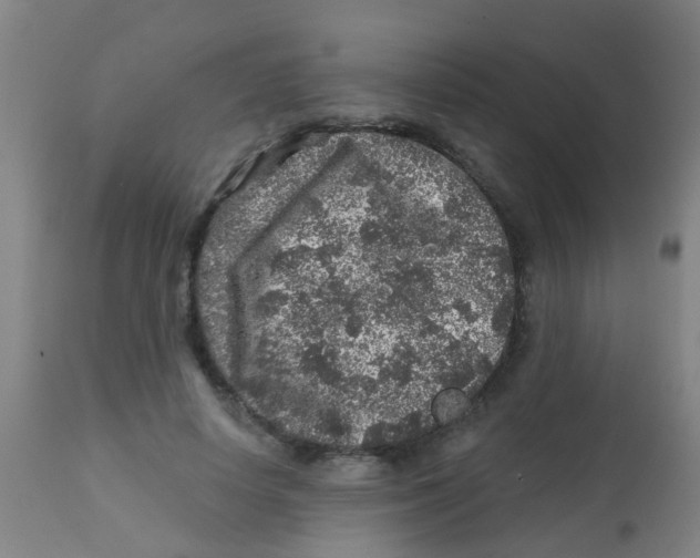 X0000113860642200910221442