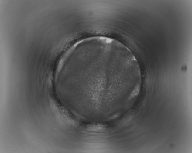 X0000113860643200910221442