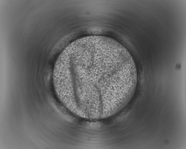 X0000113860645200910221442