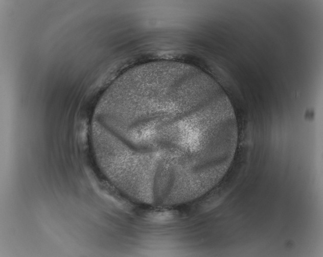 X0000113860646200910221442