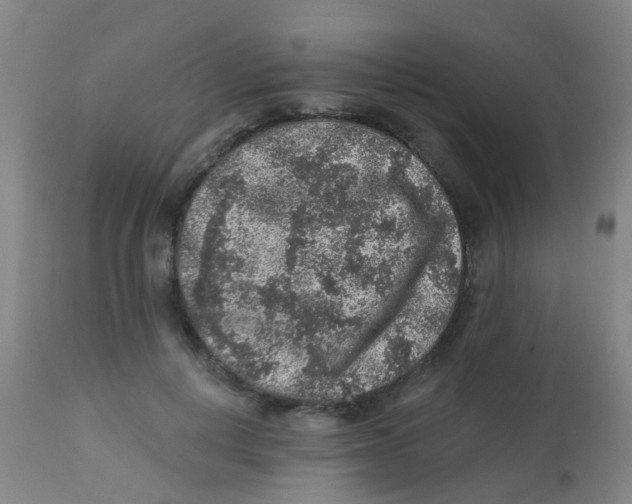 X0000113860648200910221442