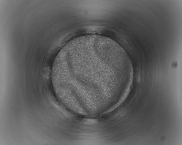 X0000113860649200910221442