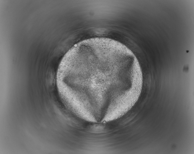 X0000113860651200910221442
