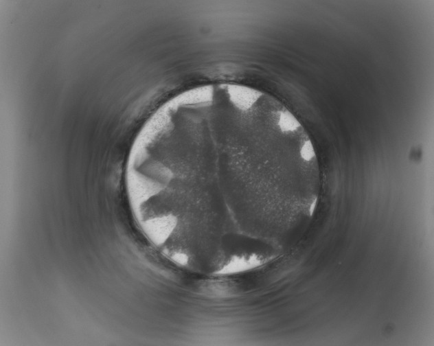 X0000113860652200910221442