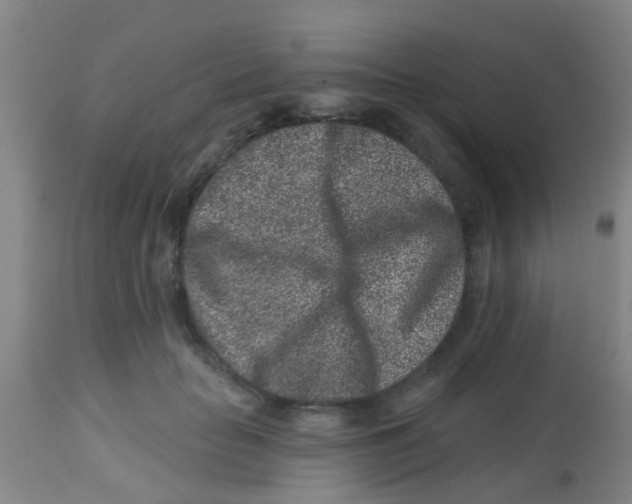 X0000113860653200910221442