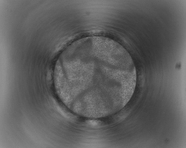 X0000113860654200910221442