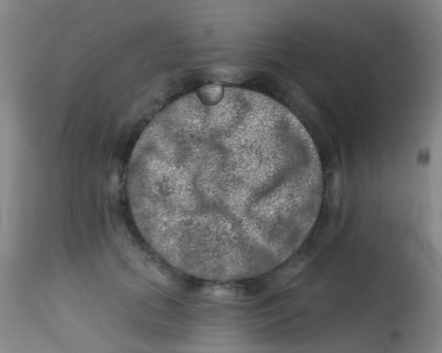 X0000113860655200910221442
