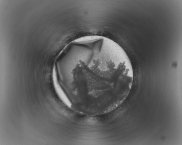 X0000113860656200910221442