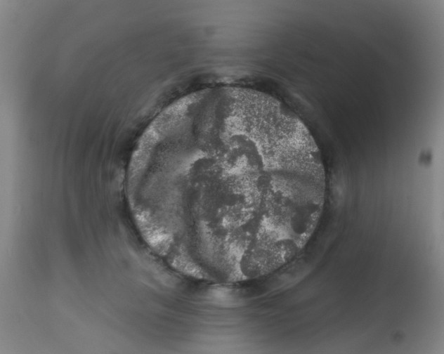 X0000113860657200910221442