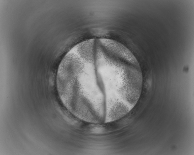 X0000113860658200910221442