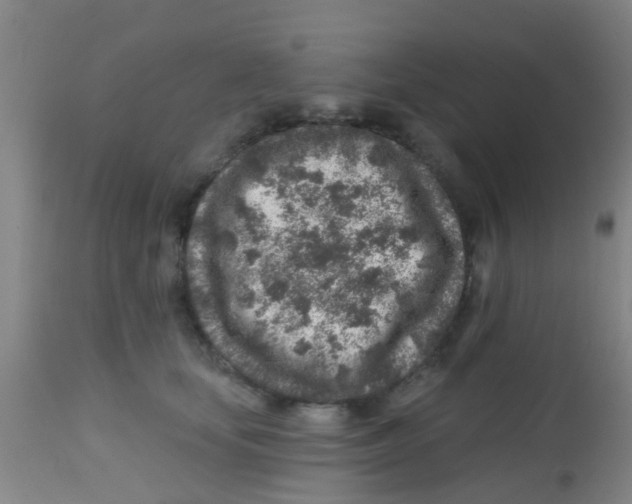 X0000113860659200910221442