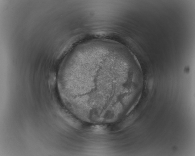 X0000113860660200910221442