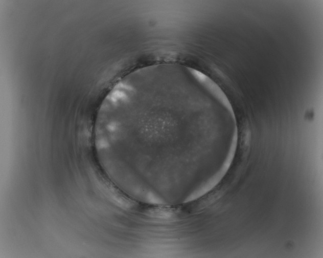 X0000113860661200910221442