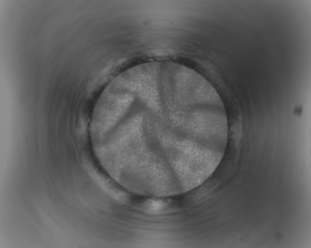 X0000113860662200910221442