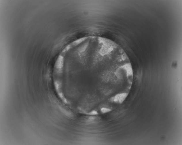 X0000113860663200910221442