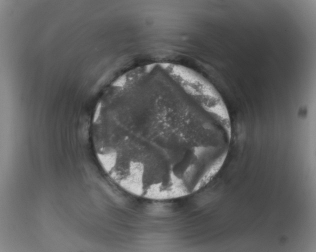 X0000113860664200910221442