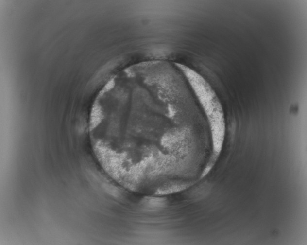 X0000113860665200910221442