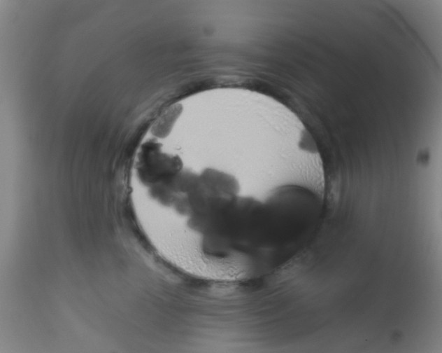X0000113860666200910221442