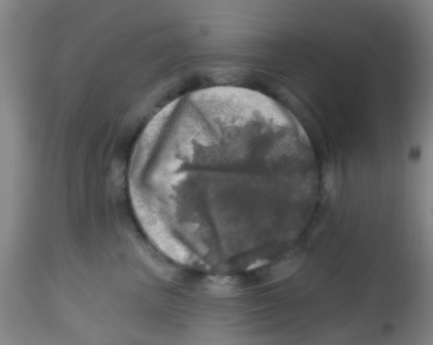 X0000113860667200910221442