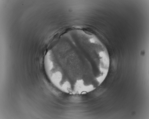 X0000113860668200910221442