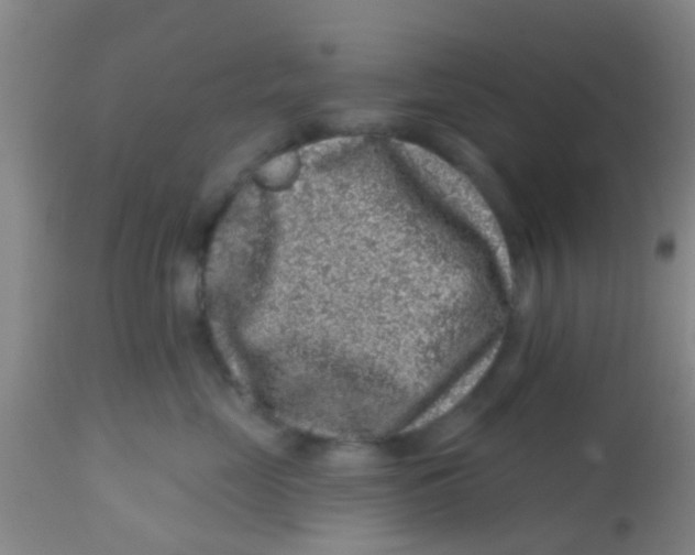 X0000113860669200910221442