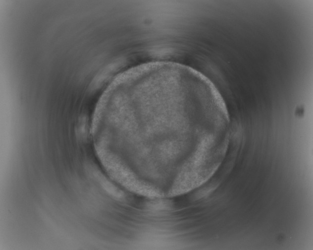 X0000113860670200910221442