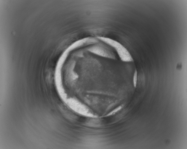 X0000113860671200910221442