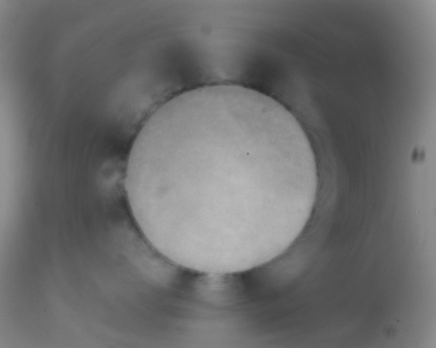 X0000113860672200910221442