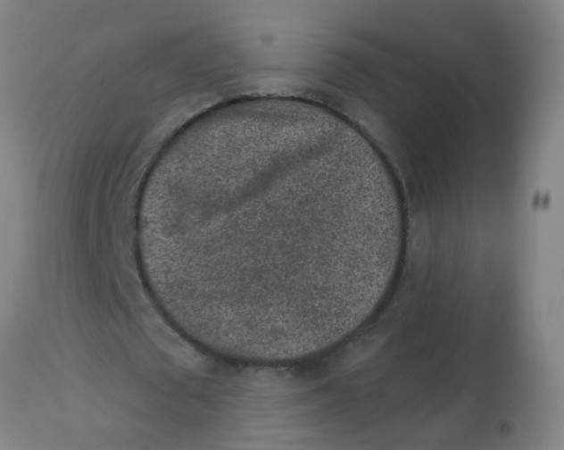 X0000113860673200910221442