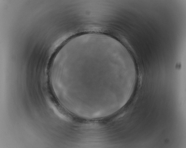 X0000113860674200910221442