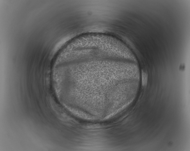 X0000113860675200910221442