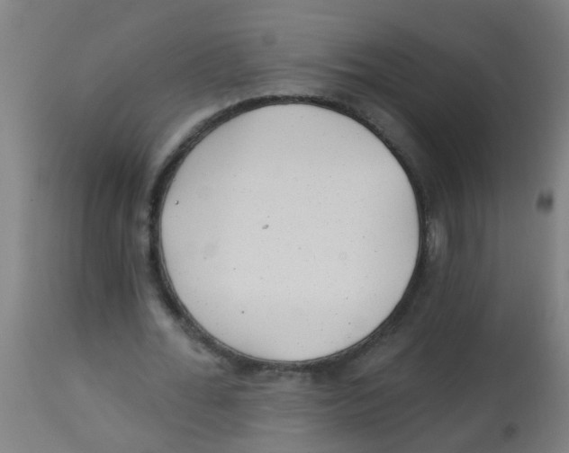 X0000113860676200910221442