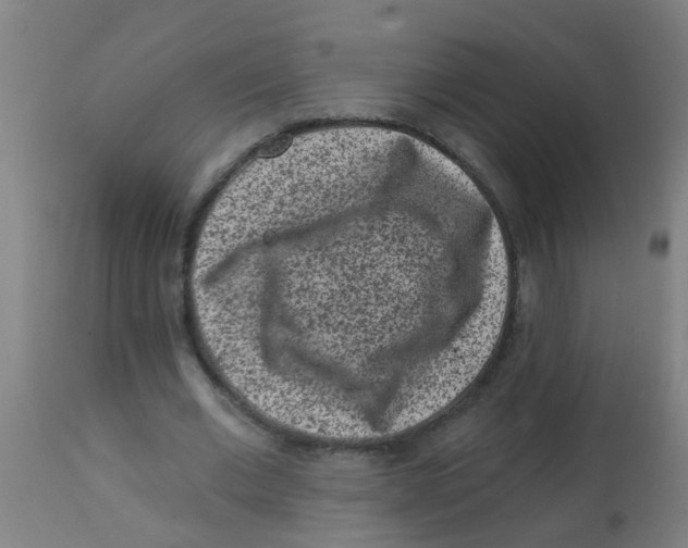 X0000113860677200910221442