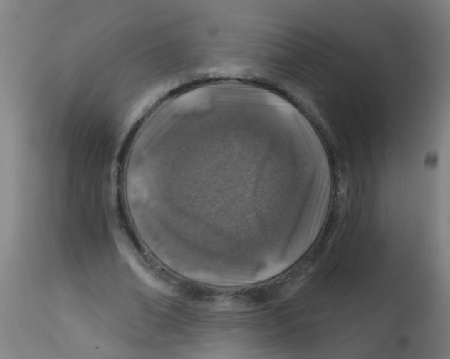 X0000113860678200910221442