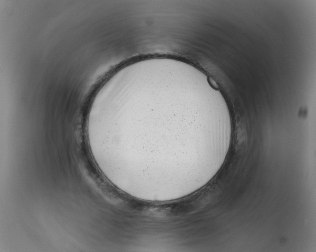 X0000113860680200910221442