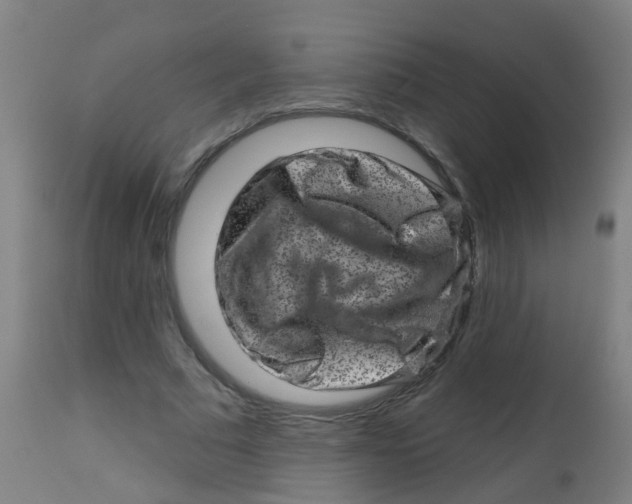 X0000113860681200910221442