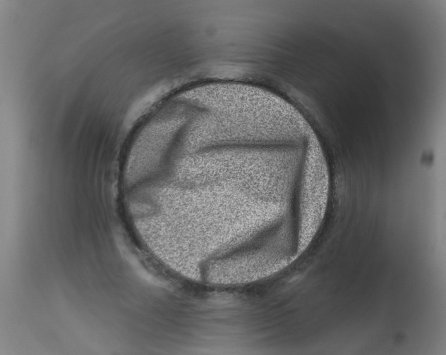 X0000113860682200910221442