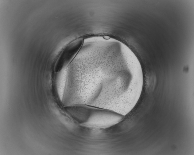 X0000113860684200910221442