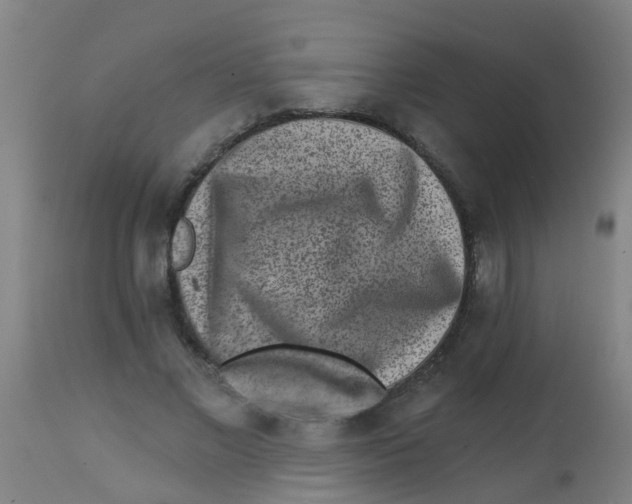 X0000113860685200910221442