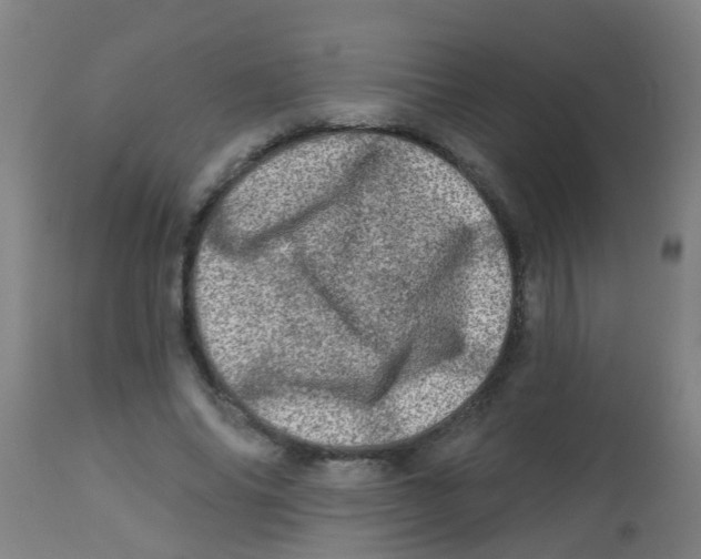 X0000113860686200910221442