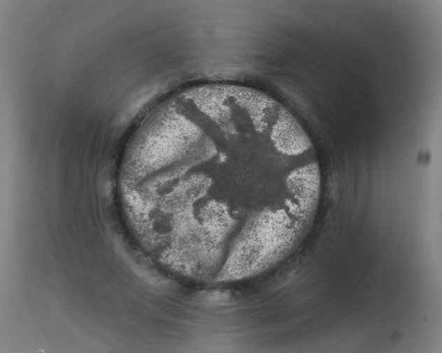 X0000113860687200910221442