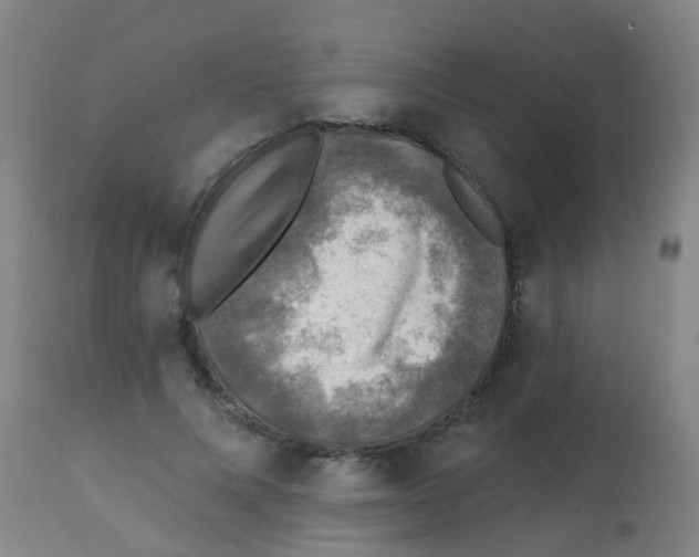 X0000113860688200910221442