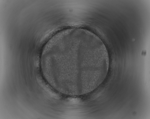 X0000113860689200910221442