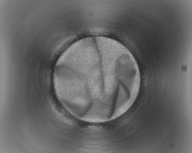 X0000113860690200910221442