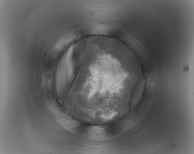 X0000113860692200910221441