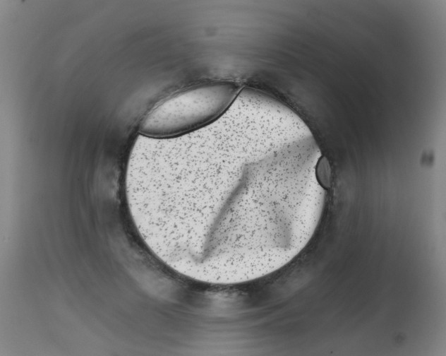 X0000113860693200910221441