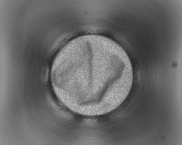 X0000113860694200910221441
