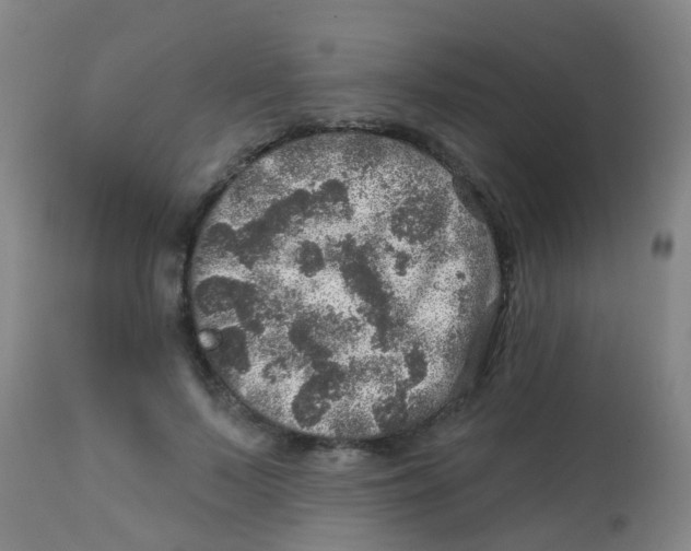 X0000113860695200910221441