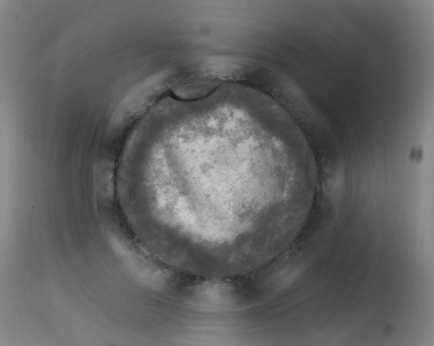 X0000113860696200910221441